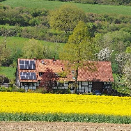Forsthaus Wilmeröderberg Lägenhet Polle Exteriör bild