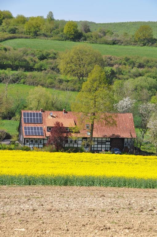 Forsthaus Wilmeröderberg Lägenhet Polle Exteriör bild